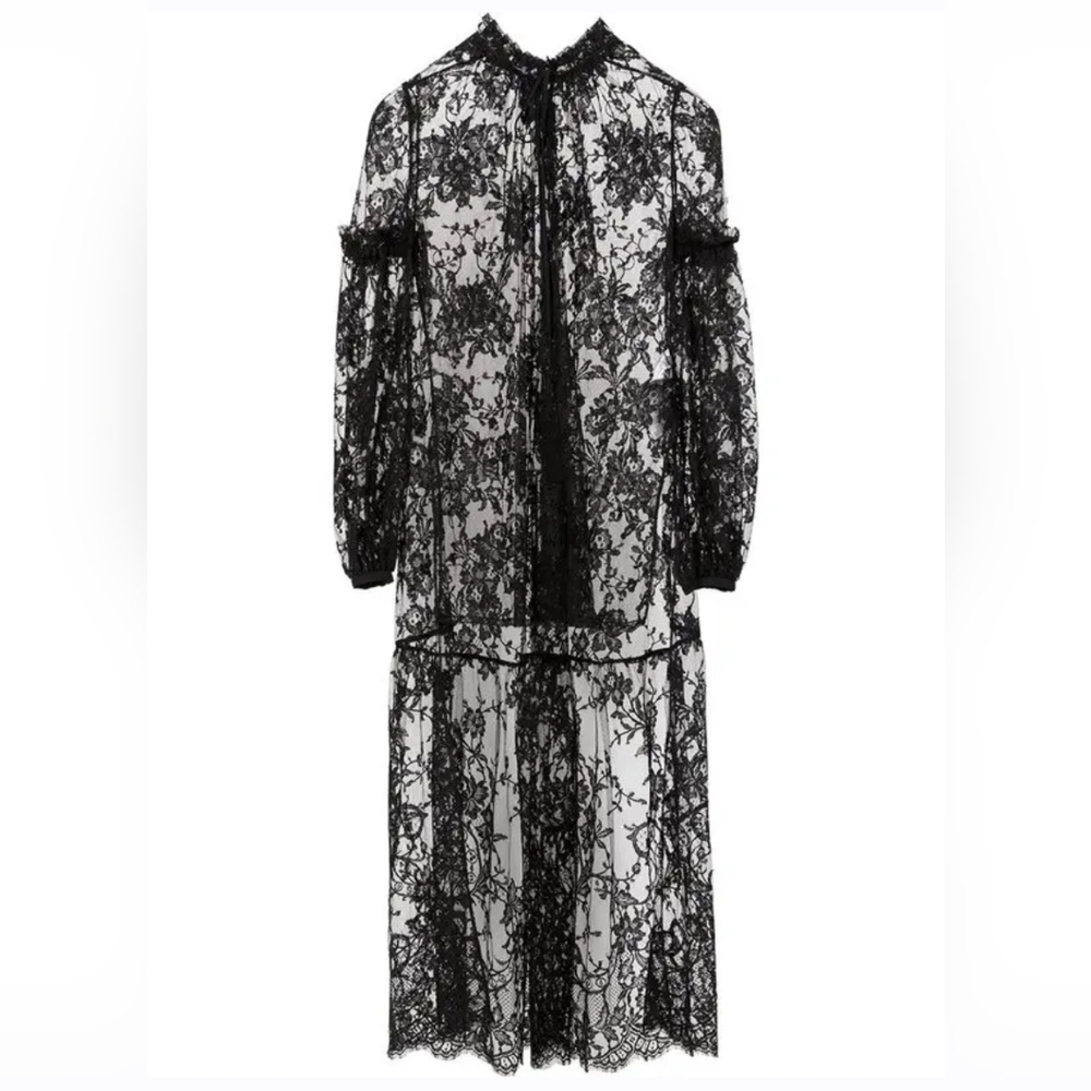 Alexander McQueen sheer lace maxi dress 38